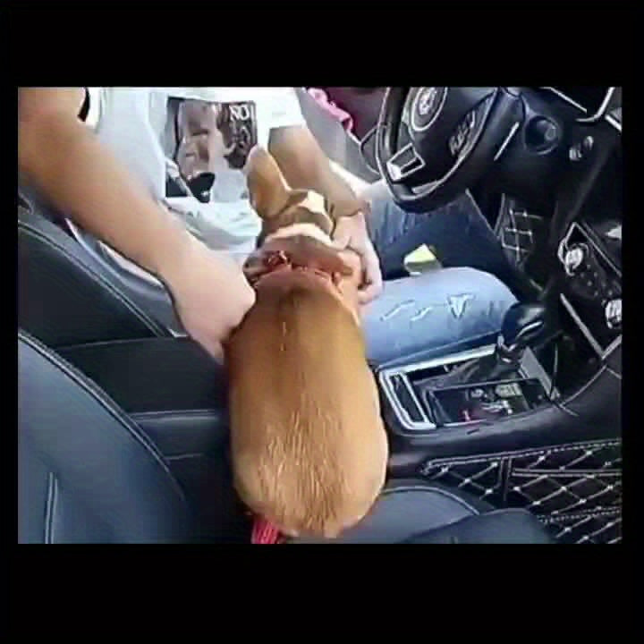 Secure Travel Dog Seat Belt – Adjustable Car Safety Harness with Durable Nylon Leash